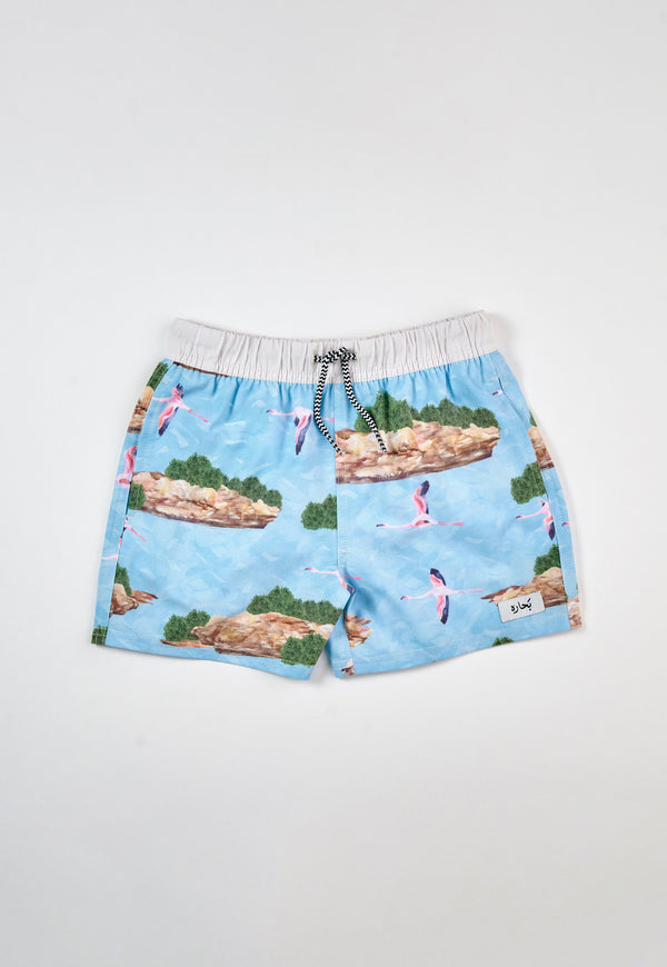 Boy's Fanteer Swim Short